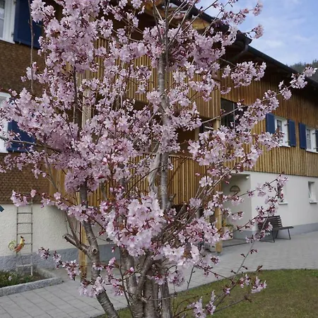 Apartement Metzler Susanne * Bezau